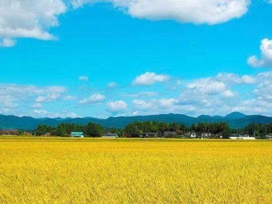 海南省農業開發優秀企業推薦 引領熱帶特色農業新風向