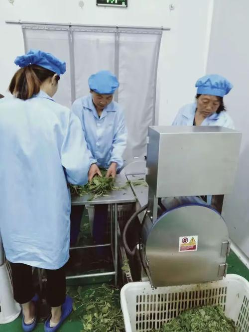 農業開發部7月1日工作匯總
