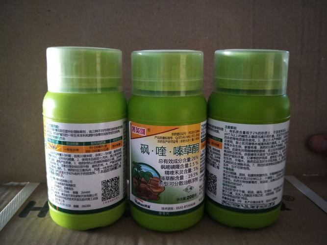 四子王旗 北疆草原上的農業創新之路
