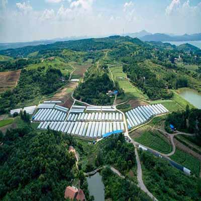 智慧農業綜合開發項目實施方案——以現代智慧蔬菜大棚建設為核心